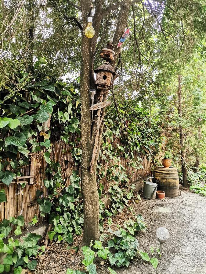 Flat In Historic Villa With Your Own Private Garden, Near City Park Budapest Exteriör bild
