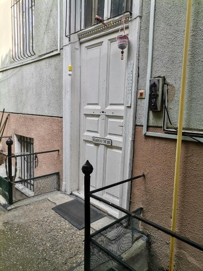 Flat In Historic Villa With Your Own Private Garden, Near City Park Budapest Exteriör bild